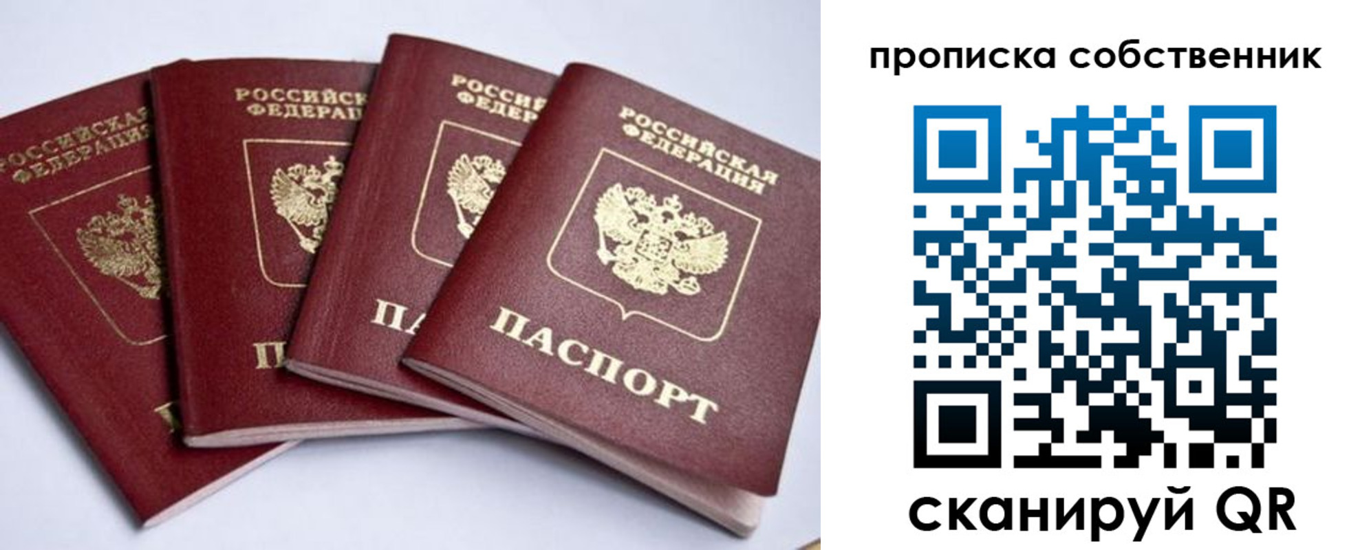 миграционный учет в Мончегорске